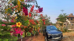 Un SUV noir était garé sur un chemin de terre, bordé de magnifiques fleurs de bougainvillier et d’une végétation luxuriante.