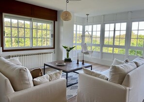 Smart TV, fireplace, books