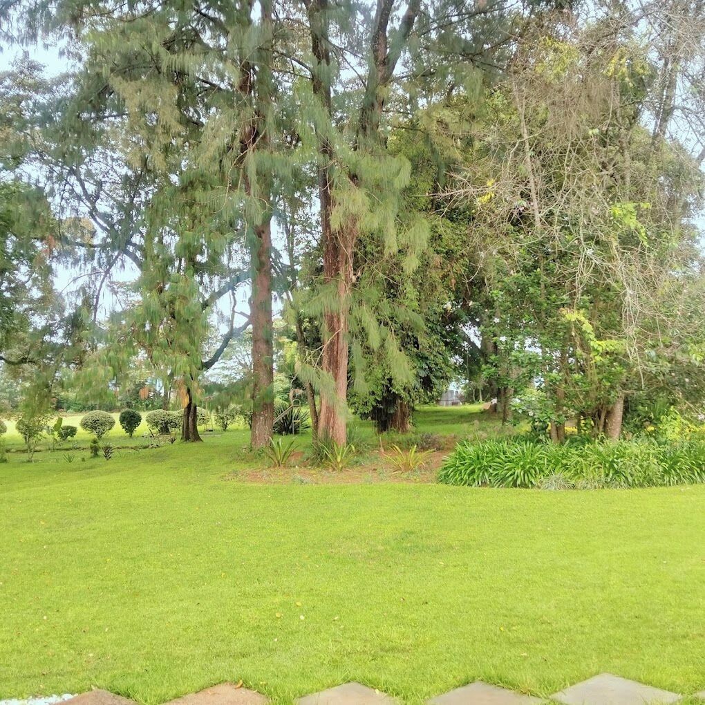Un parque bien cuidado con árboles maduros, césped y un camino pavimentado.