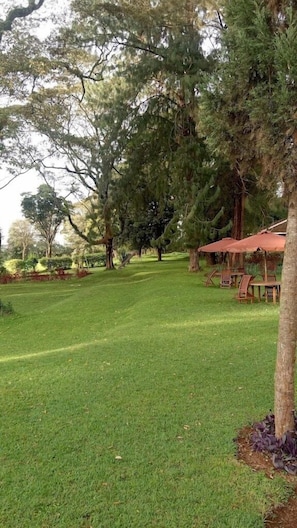 Garden - ACK St.Julians Centre (Limuru)