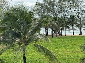 Vista al jardín