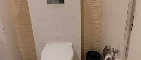 Une petite salle de bain compacte, équipée de toilettes, d’une poubelle et d’une douche.