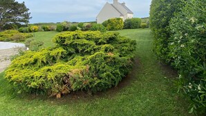A well-maintained garden with neatly trimmed hedges and a white house in the background.
