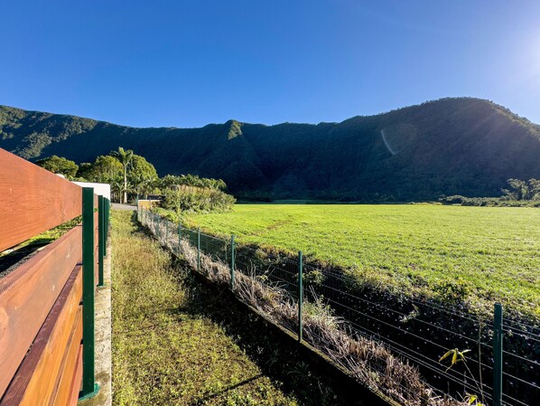 A view of a green field with a wooden fence and a mountain in the background.
