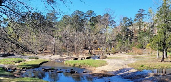 Un paysage naturel avec un ruisseau, des arbres et un ciel dégagé.