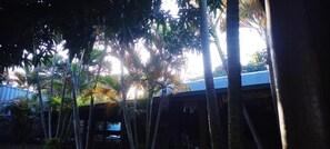 Shared Dormitory, 1 Bedroom, Smoking, Balcony | Garden