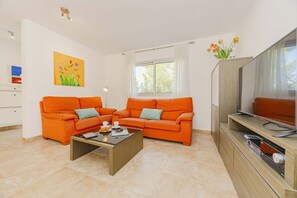 TV, fireplace, DVD player