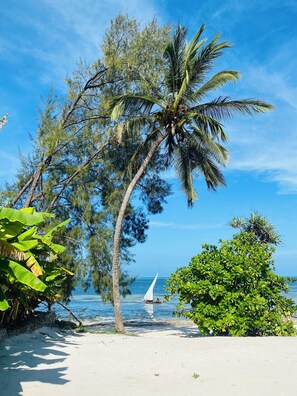 On the beach, white sand