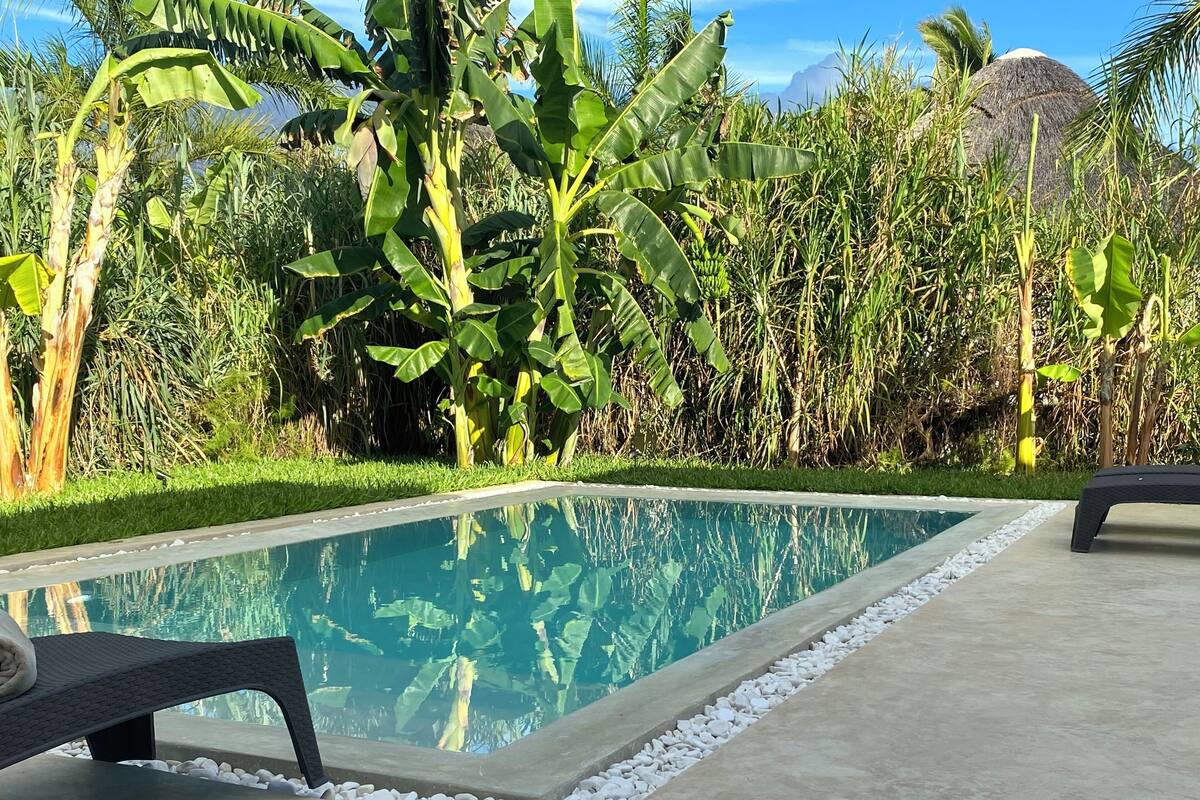 Una piscina con borde de hormigón, rodeada de vegetación exuberante y un cielo despejado.