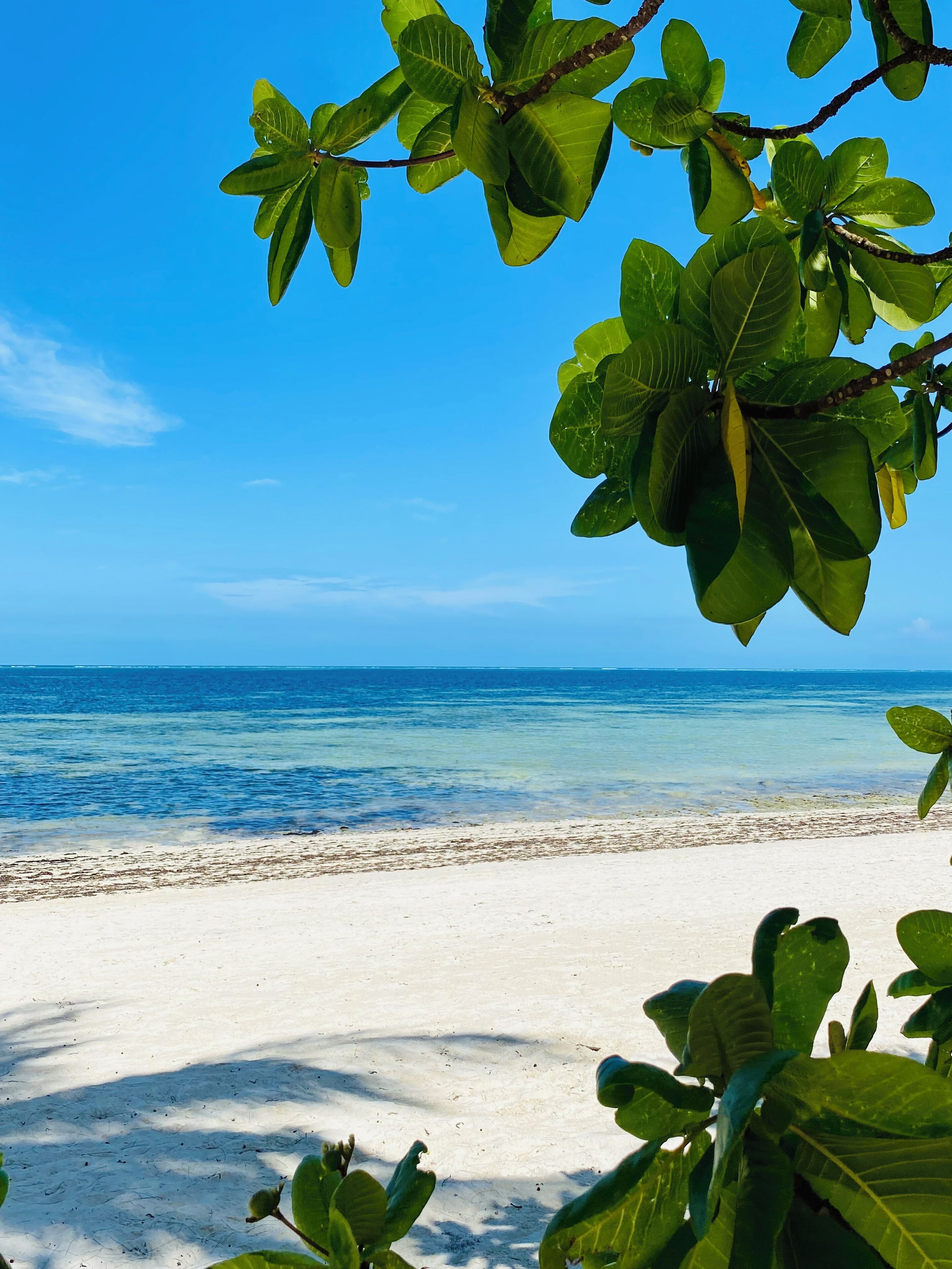 På stranden og hvit sand