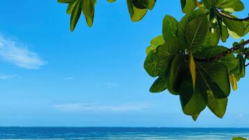 On the beach, white sand