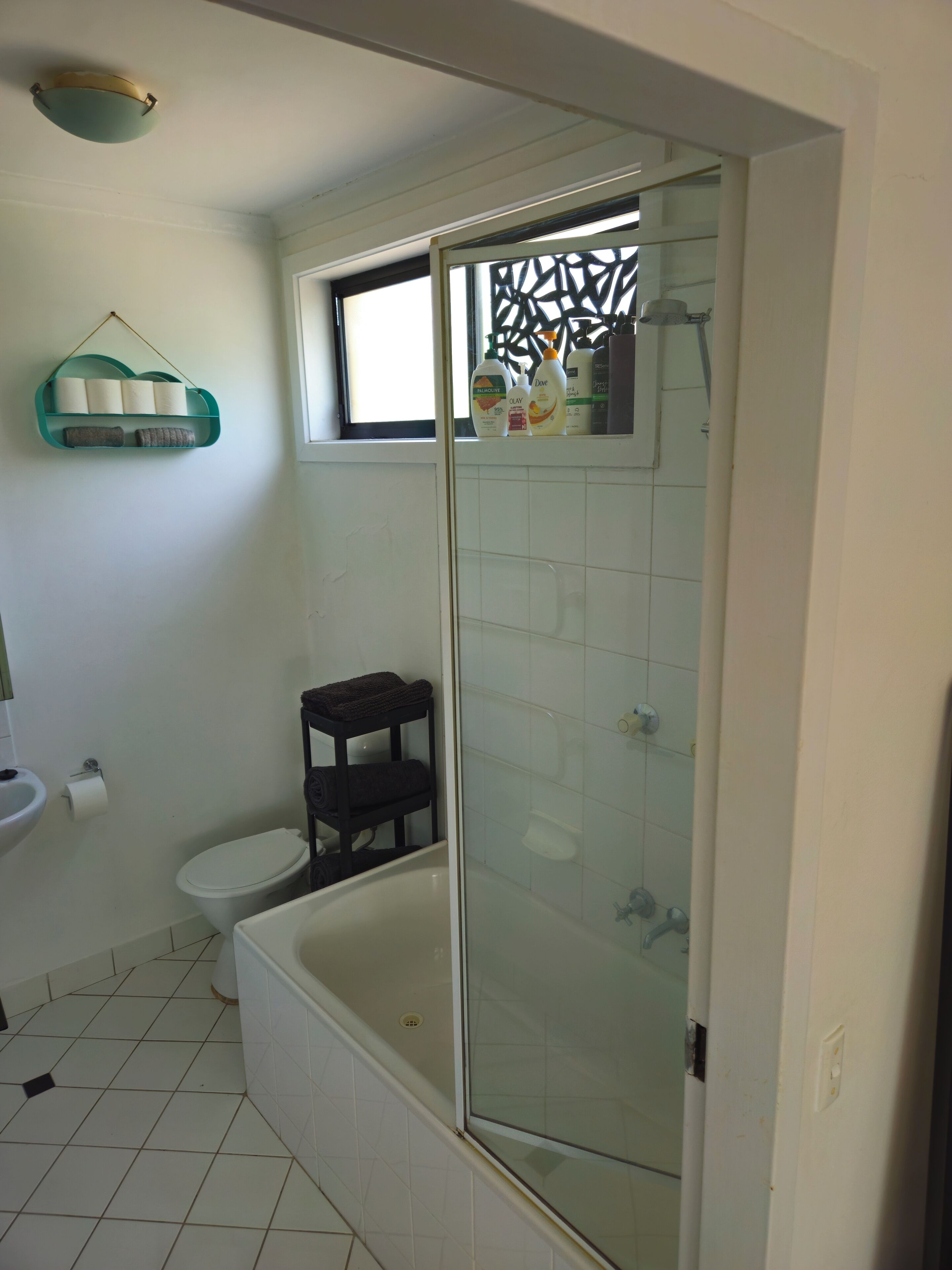 Hair dryer, towels, soap, toilet paper