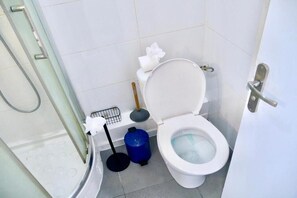 Shower, towels, soap, toilet paper