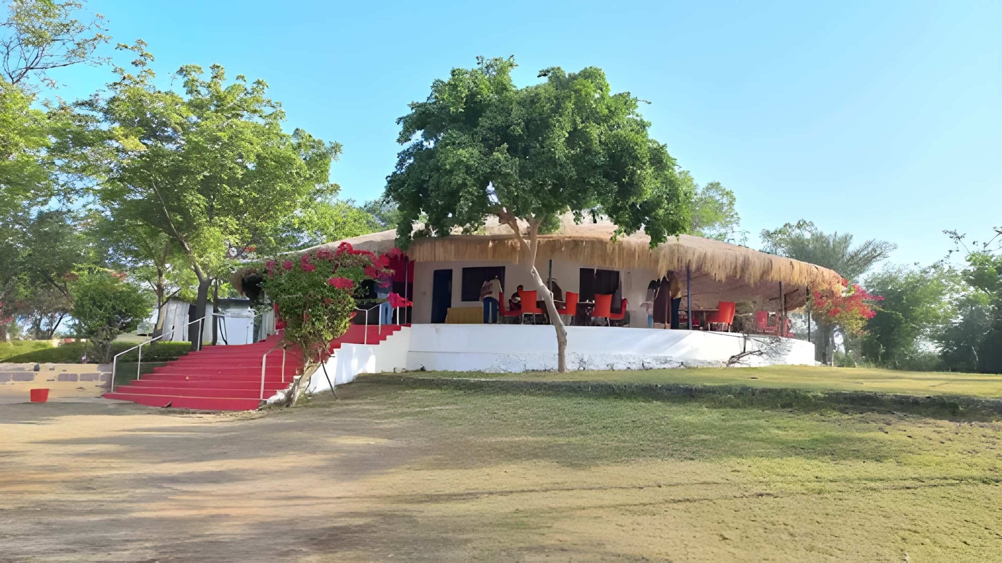 A building with a thatched roof, red steps leading to a covered area with red chairs, and a tree in front.