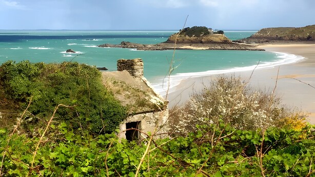 Eine Küstenlandschaft mit Sandstrand, Felsen und üppiger Vegetation.