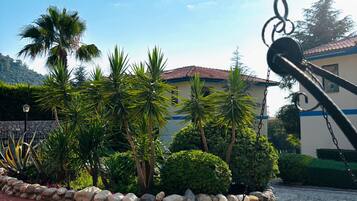 A garden with palm trees, a stone wall, and a building with a tiled roof.