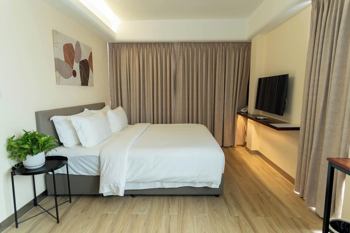 Une chambre d’hôtel avec un lit, une plante en pot, un téléviseur à écran plat et une grande fenêtre avec des rideaux.