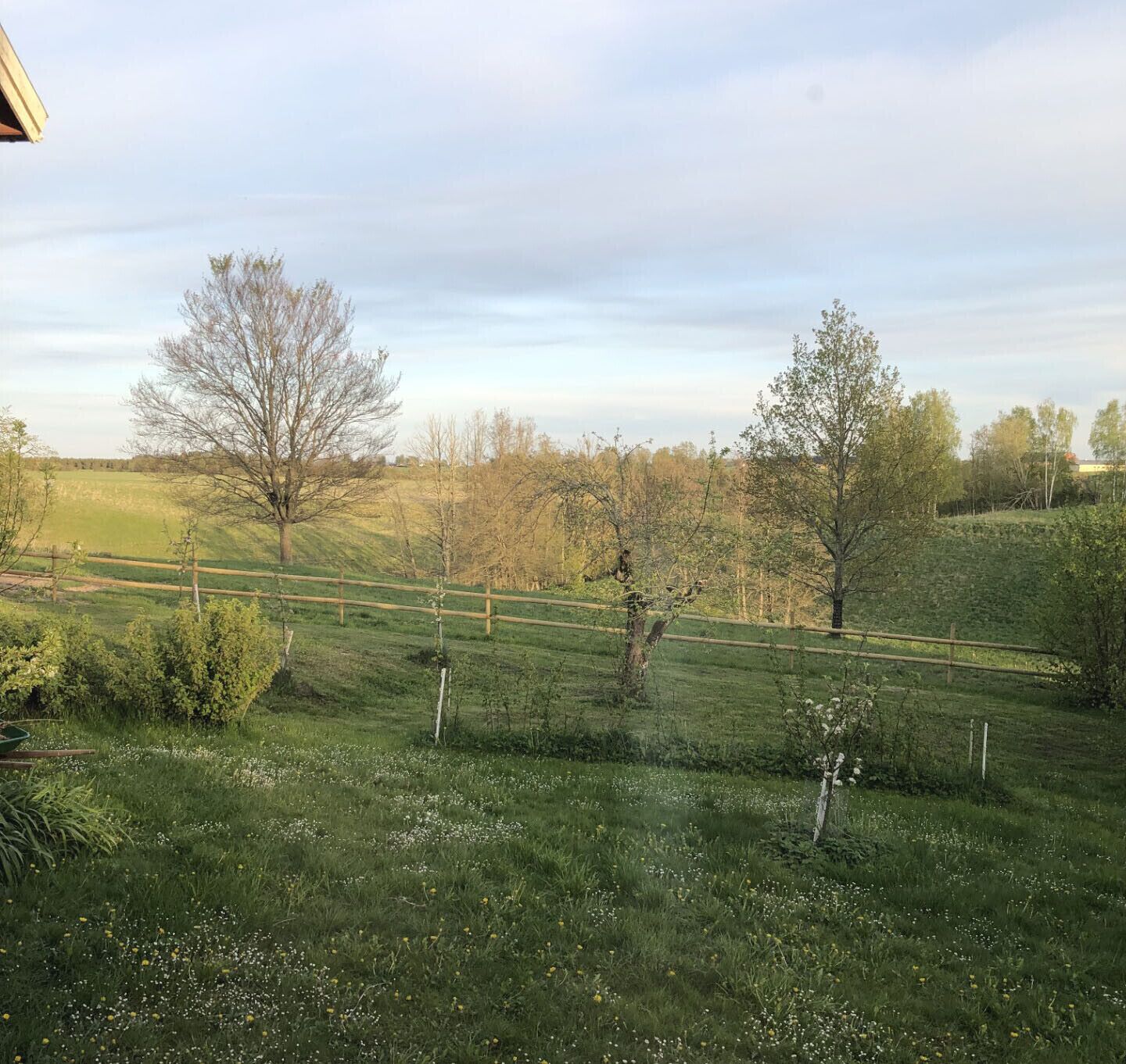 A grassy field with a wooden fence, trees, and a clear sky.