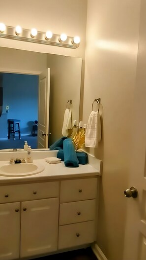 Hair dryer, towels, soap, toilet paper