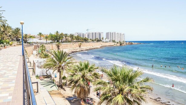 A coastal promenade with palm trees, a beach, and high-rise buildings in the background.