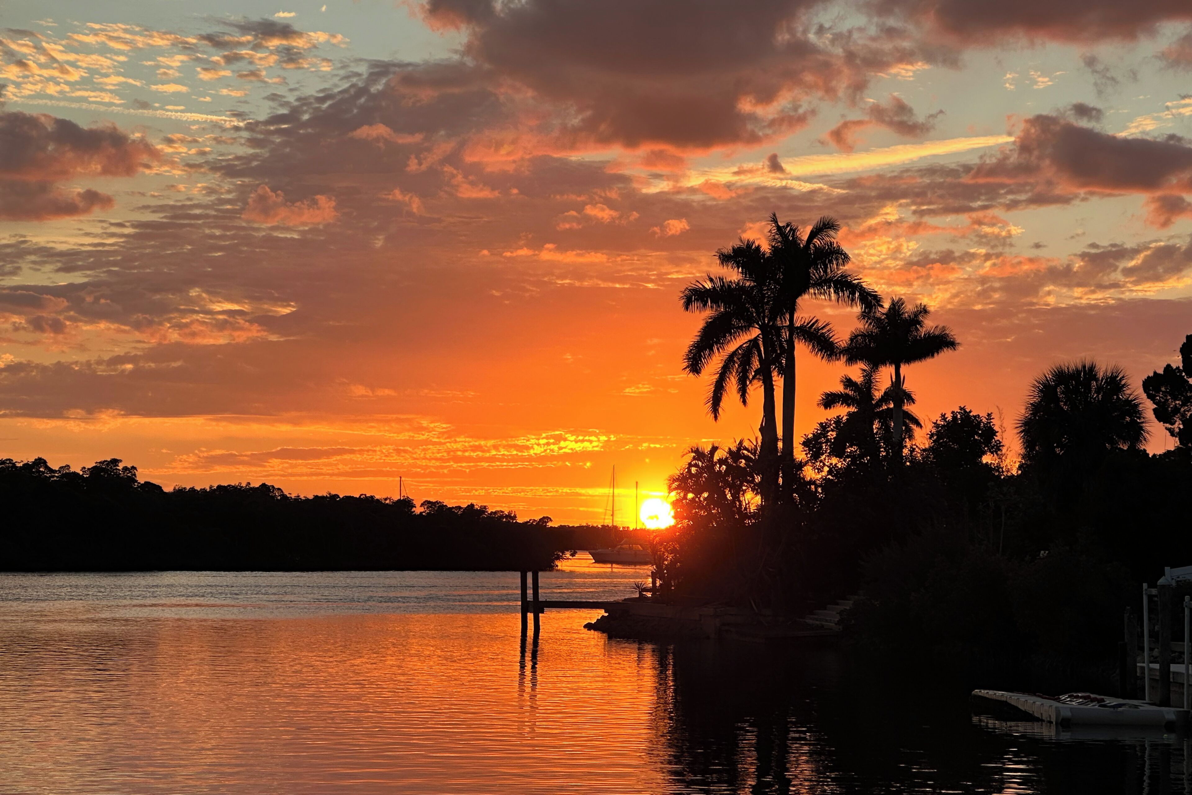 A sunset over a body of water with palm trees and a dock.