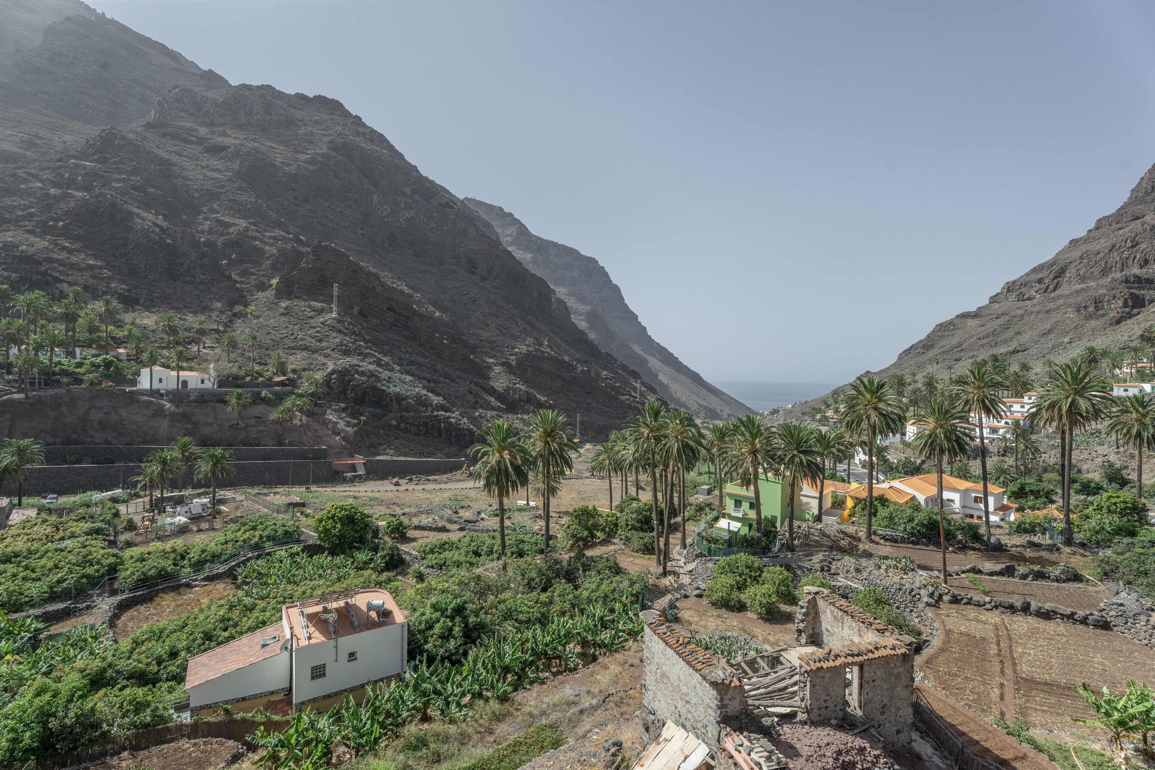 Un paisaje montañoso con un valle, palmeras y edificios.