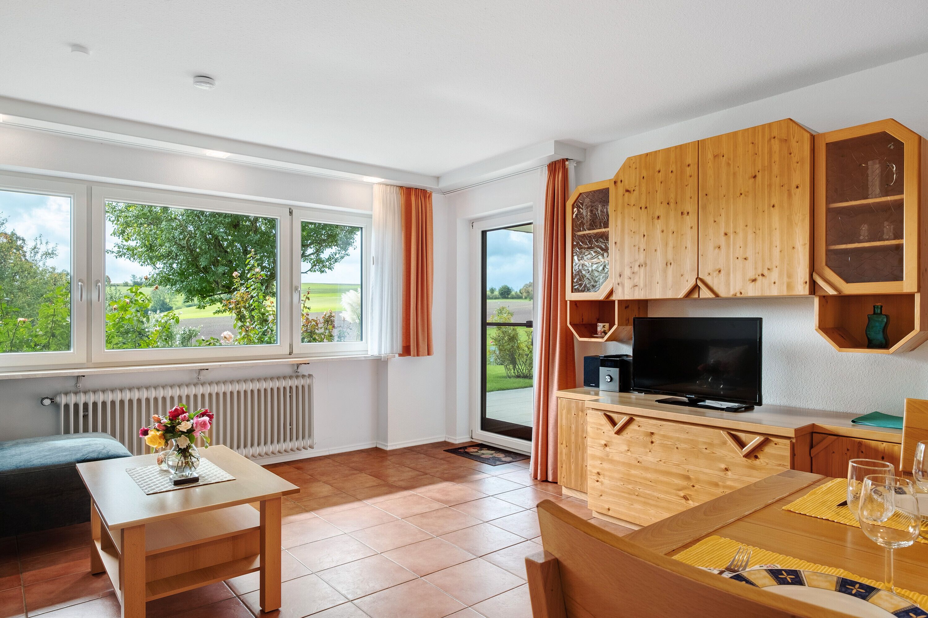 Televisio, DVD-soitin, pöytätennispöytä, stereot