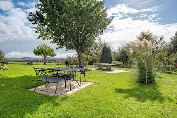 A grassy outdoor area with a table and chairs, a bench, and a tree.