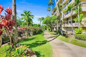 Property grounds - Signature Residences at Maui Banyan (Kihei)