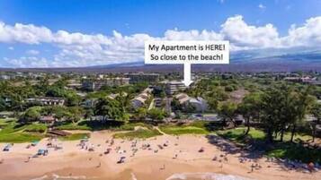 An aerial view of a residential area with a beach in the foreground.