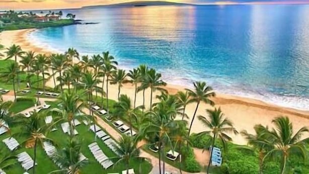 A beach resort with rows of palm trees, a sandy beach, and a view of the ocean.