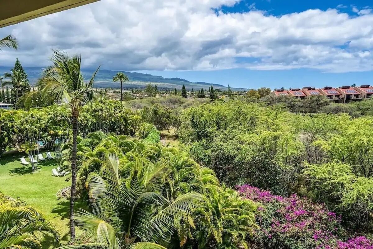 A lush garden with palm trees and a view of a building with solar panels.