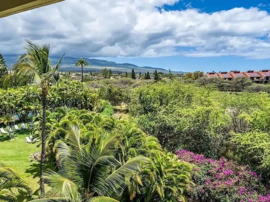 A lush garden with palm trees and a view of a building with solar panels.