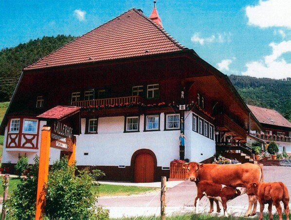 Exterior - Holiday Apartment 'Faller' with Private Terrace, Balcony and Wi-Fi (Elzach)