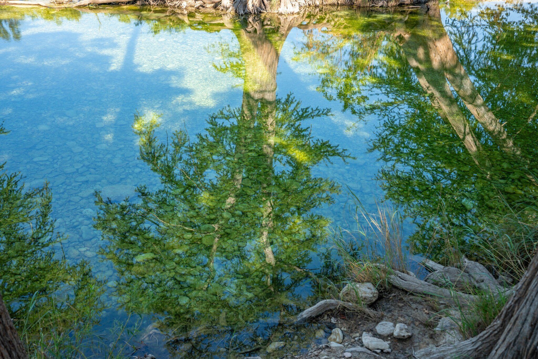 Vista despejada de una masa de agua natural rodeada de árboles y rocas.