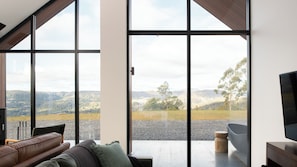 Smart TV, fireplace, books