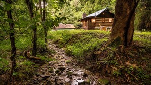 Una cabaña rústica rodeada de un bosque denso, un pequeño arroyo con rocas y una terraza de madera.