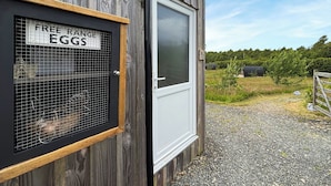 A wooden building with a window labeled "FREE RANGE EGGS". - The Owl Pod - UK50070 (Welshpool)
