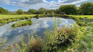 A serene pond surrounded by lush greenery and trees, with a clear sky above. - The Calving Barn - UK49679 (Bratton Fleming)