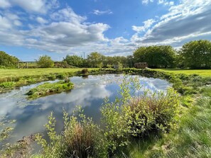 A serene pond surrounded by lush greenery and trees, with a clear sky above. - The Calving Barn - UK49679 (Bratton Fleming)