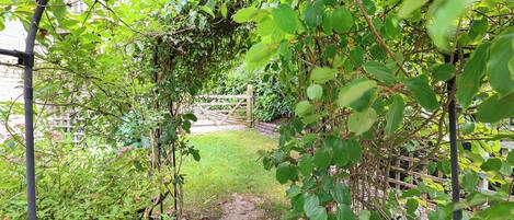 المنطقة المحيطة بالمنشأة