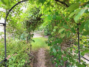Property grounds - Tranquil one-bedroom annexe with forest views in Kintbury. (Kintbury, near Newbury)