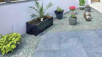 Área da propriedade