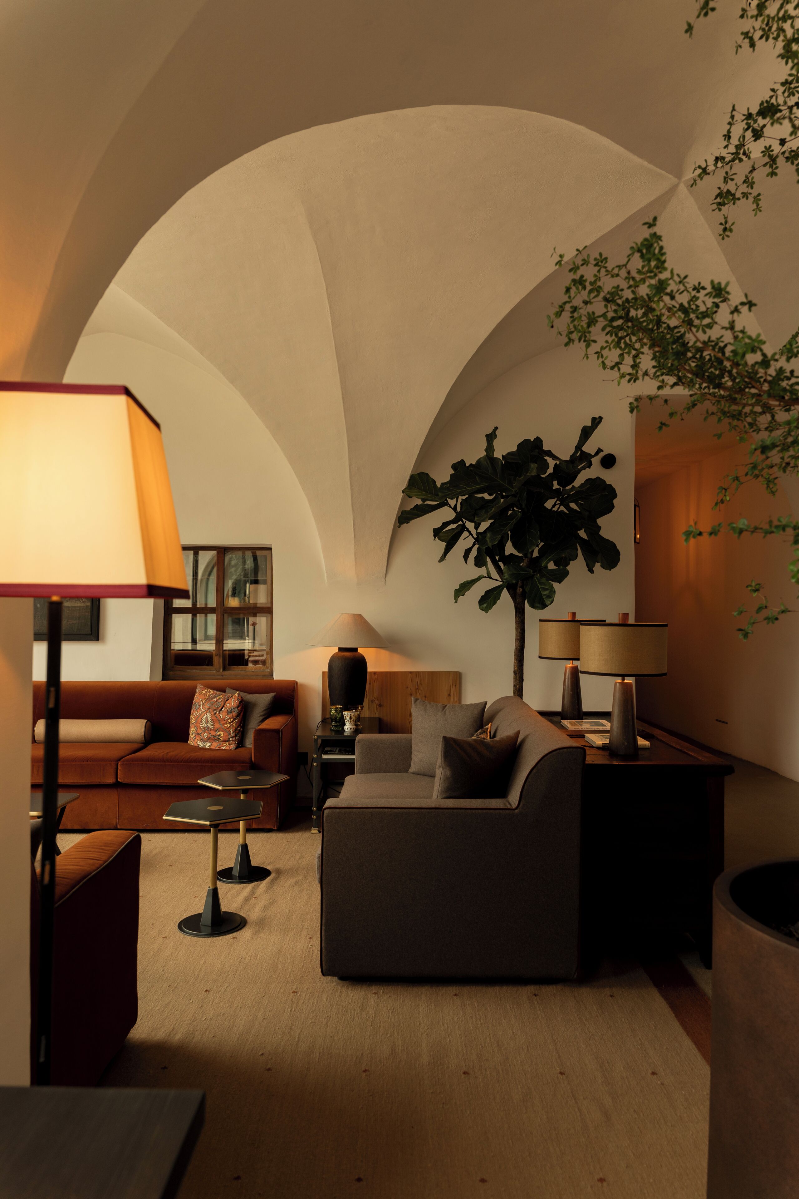Een gezellige woonkamer met een bank, fauteuil en een grote plant.