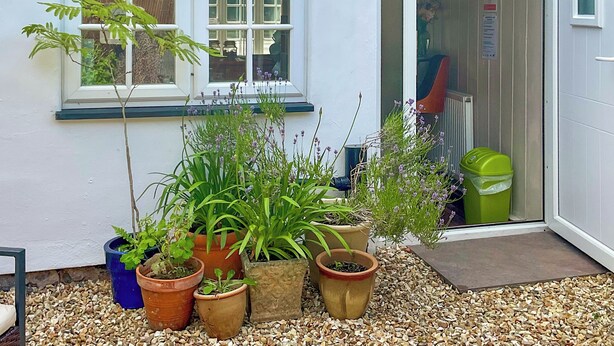 A building with a white exterior, a door with a glass panel, and a window with multiple panes. There are several potted plants in front of the building. - The Old Post House Annex - UK50190 (Axbridge, near Weare)