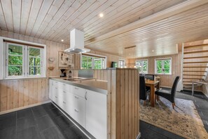 Fridge, oven, stovetop, dishwasher - Large holiday home with large outdoor wilderness bath and activity room, only. (Skjern)