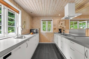 Fridge, oven, stovetop, dishwasher - Large holiday home with large outdoor wilderness bath and activity room, only. (Skjern)
