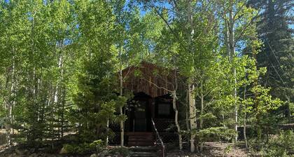 Brown Dog Cabin up Bittercreek, Red River