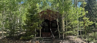 Brown Dog Cabin up Bittercreek, Red River