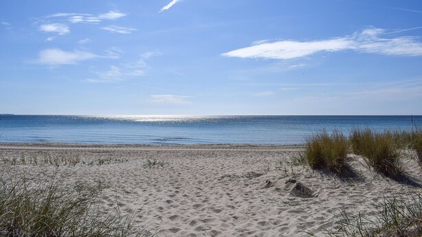 Une plage de sable avec une végétation clairsemée et un ciel bleu dégagé.